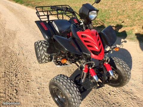 Beau Quad 250 homologué shineray style raptor