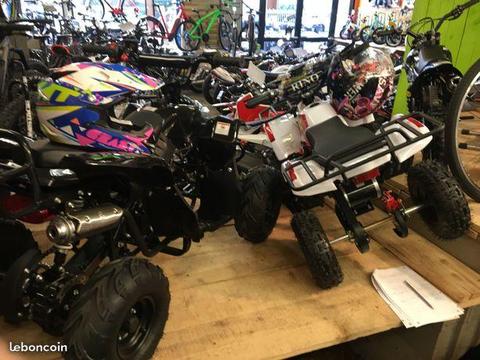 Quad électrique rino 800 w