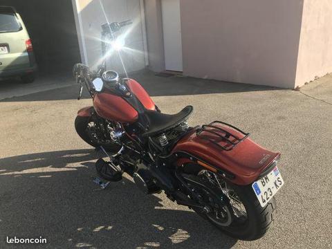 Harley Davidson Cross Bones 1584 2011