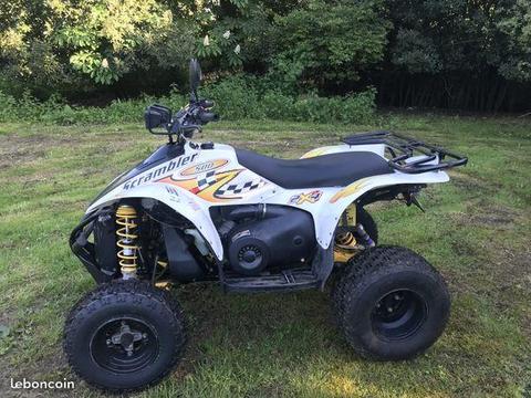 Quad 500 polaris