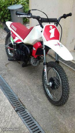 piwi 80
