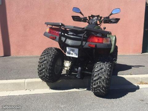 À saisir ! Quad sym 250cm3 en excellent état