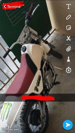 Piwi 80