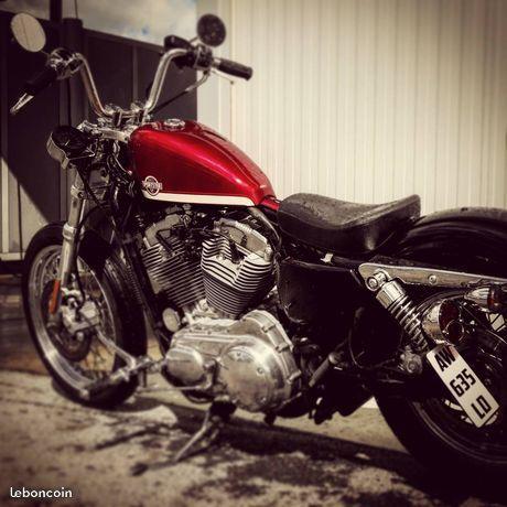 883 sportster super low