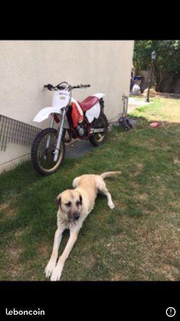 125 yz