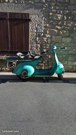 Vespa acma