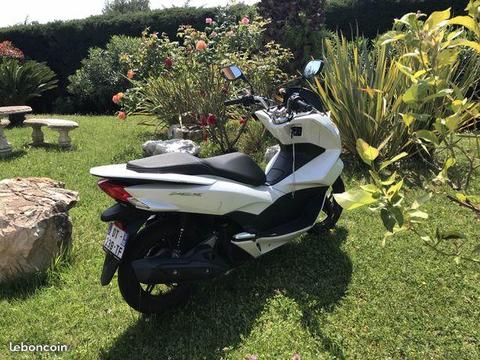 Honda pcx