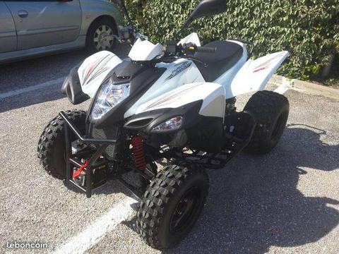 quad adly 320 xc 500km