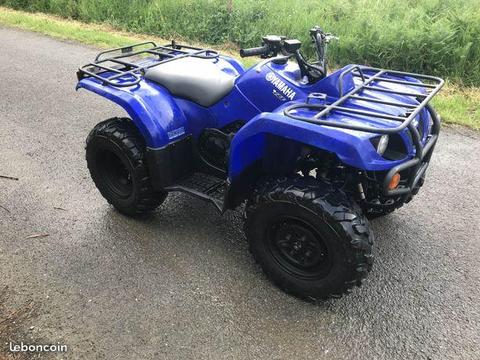 Grizzly 350