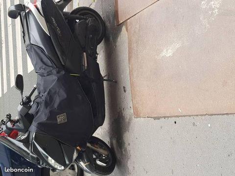 scooter citystar 50
