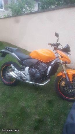 600 hornet