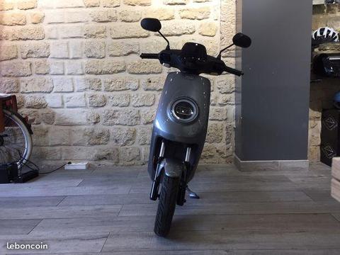 NIU M1 Sport 50cc Gris 3500km / 100% Electrique