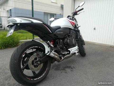 hornet 600