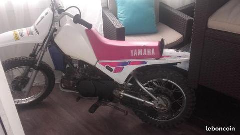 Belle piwi 80