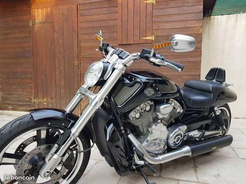 harley vrod muscle bradé avant reprise
