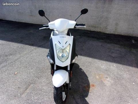 Scooter 50
