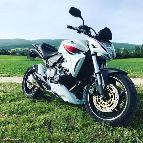 Hornet 600