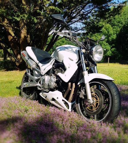 600 Hornet blanc nacré