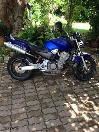 Hornet 900