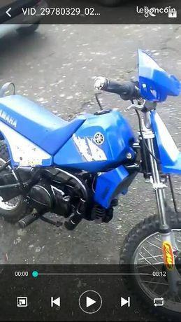 piwi80
